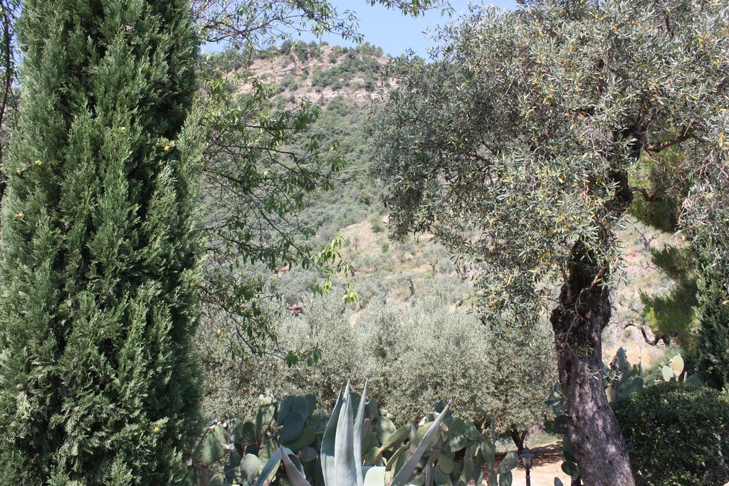 Azienda Agrituristica Biologica Il Querceto Santa Severina Екстер'єр фото