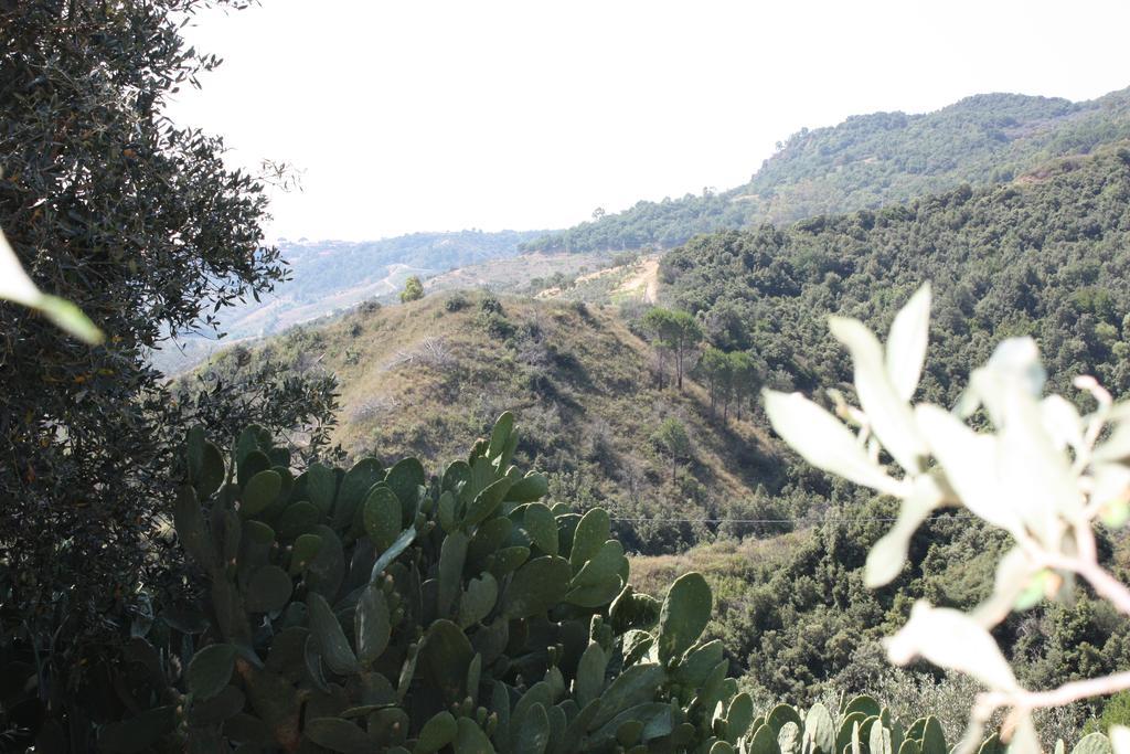 Azienda Agrituristica Biologica Il Querceto Santa Severina Екстер'єр фото