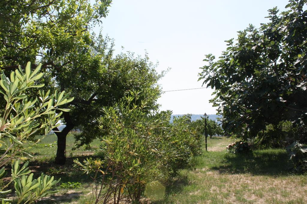 Azienda Agrituristica Biologica Il Querceto Santa Severina Екстер'єр фото