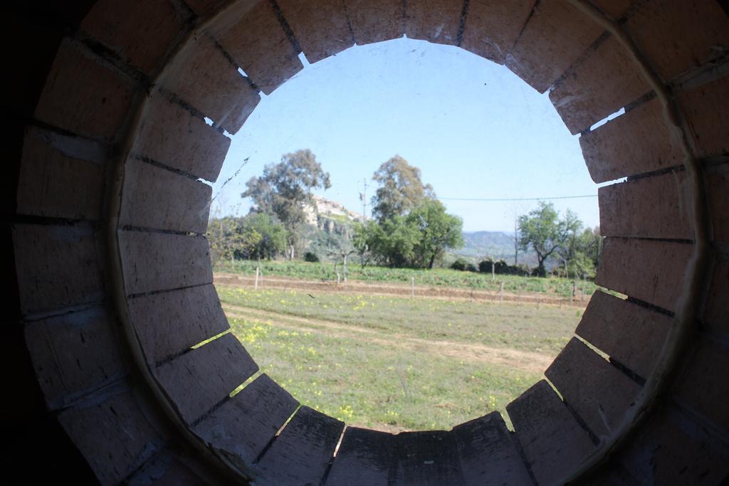 Azienda Agrituristica Biologica Il Querceto Santa Severina Екстер'єр фото