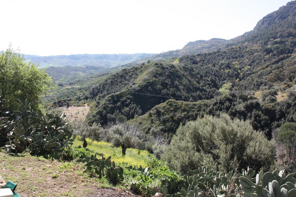 Azienda Agrituristica Biologica Il Querceto Santa Severina Екстер'єр фото