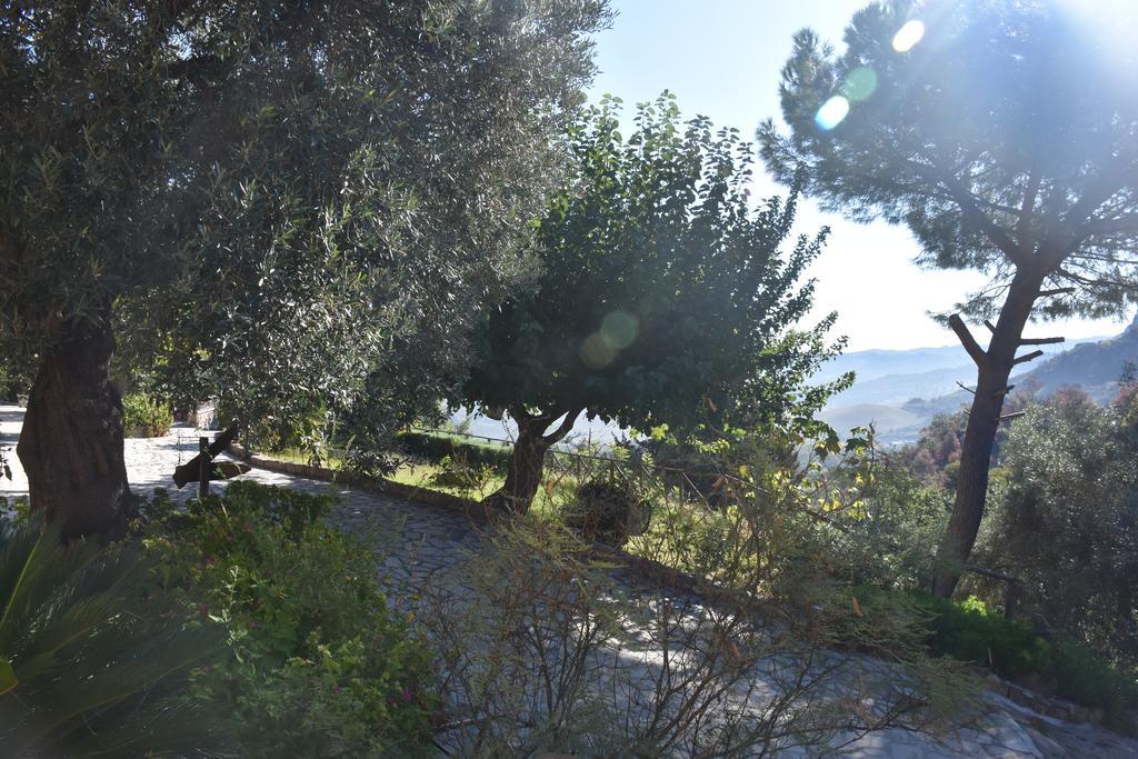 Azienda Agrituristica Biologica Il Querceto Santa Severina Екстер'єр фото