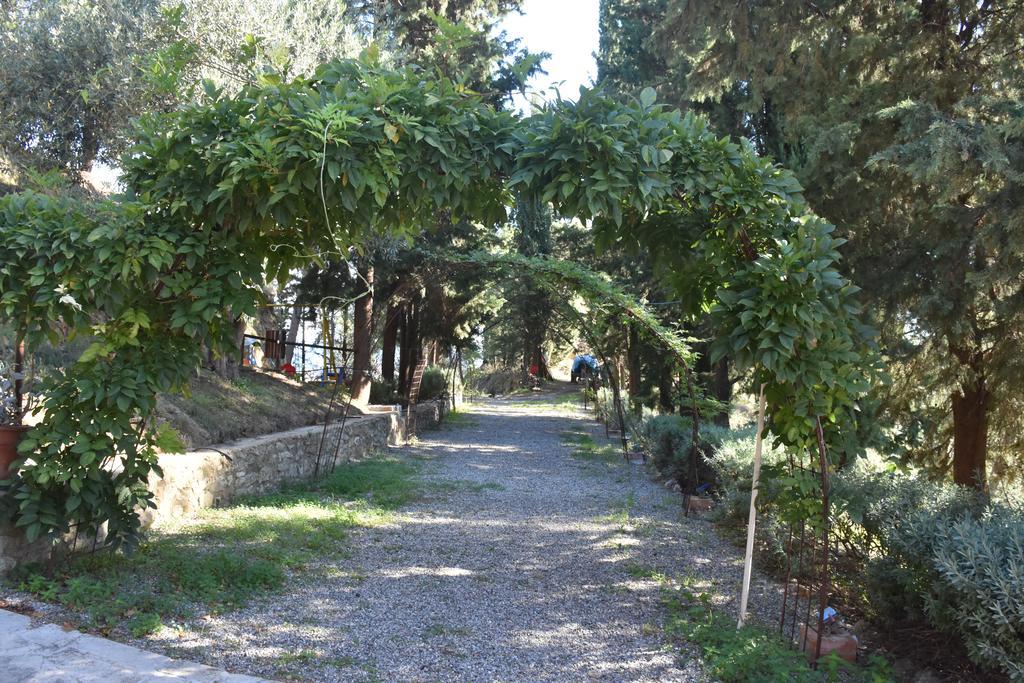 Azienda Agrituristica Biologica Il Querceto Santa Severina Екстер'єр фото