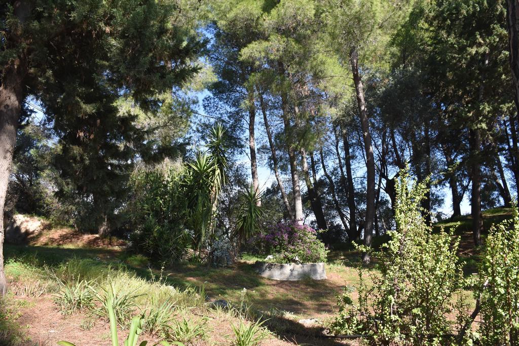 Azienda Agrituristica Biologica Il Querceto Santa Severina Екстер'єр фото